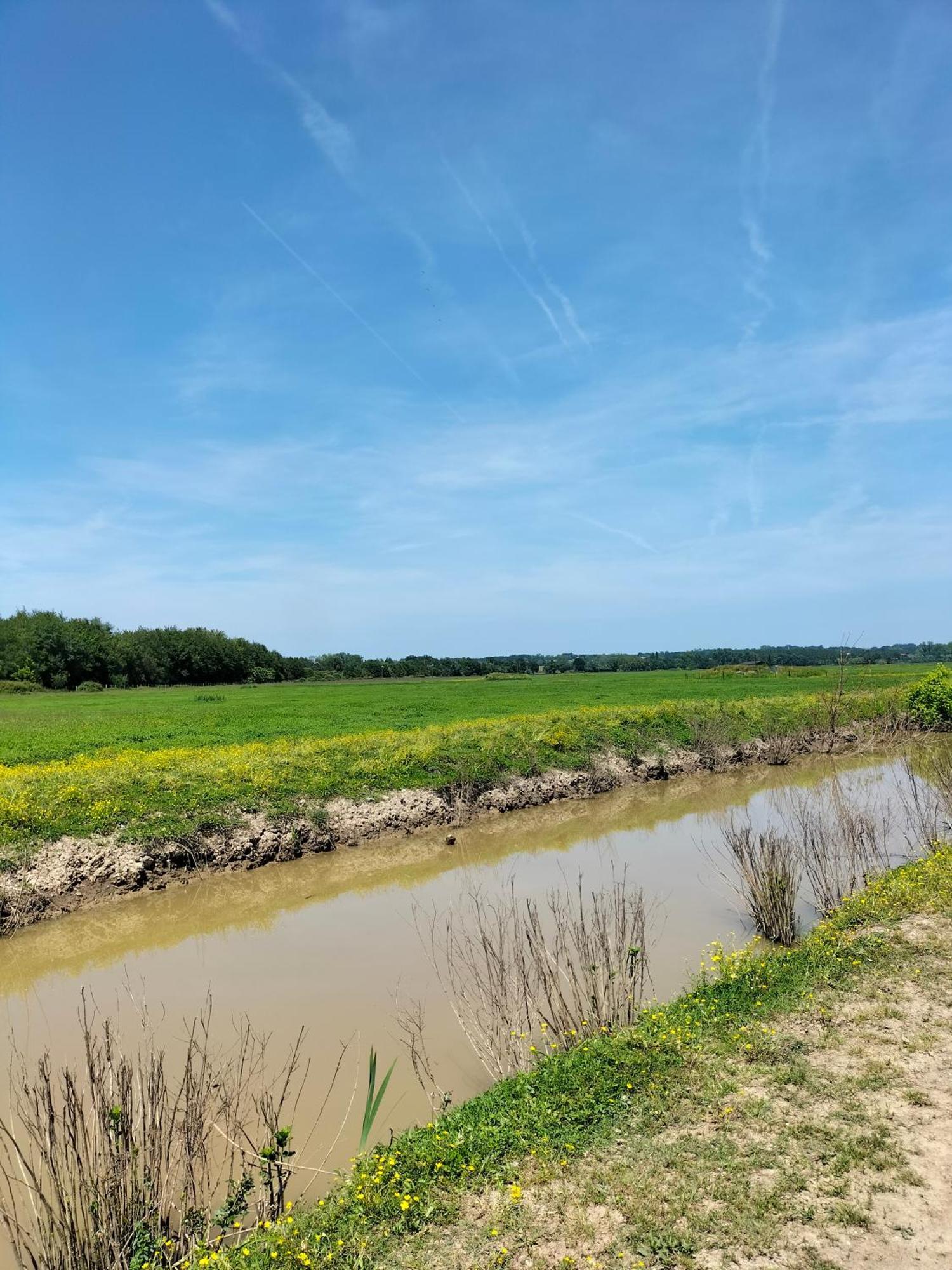 Studio Proche Des Thermes, Des Barthes, Des Plages Et De Dax ! Saubusse Exteriér fotografie
